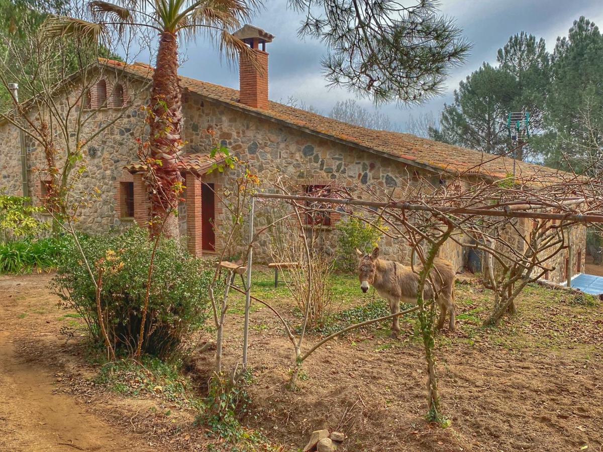 Masia Can Janet Arbúcies Exteriér fotografie